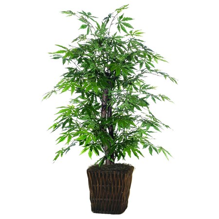 Vickerman Japanese Maple Everyday Bush - 4 ft. TBU1840-0414